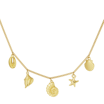 Ketting met schelpen bedels | Goudkleurig
