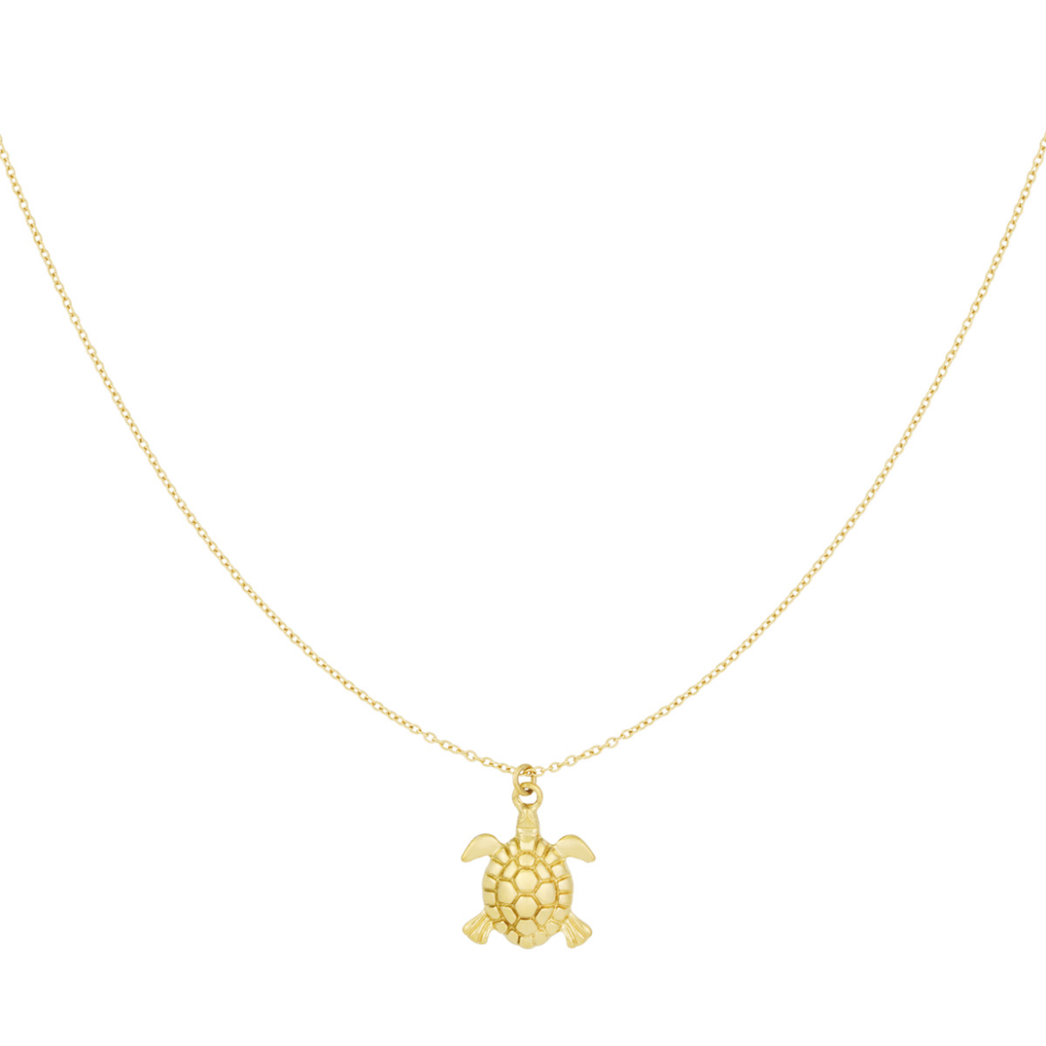 Ketting met schildpad | Goudkleurig