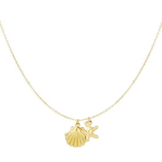 Ketting met schelp en zeester | Goudkleurig